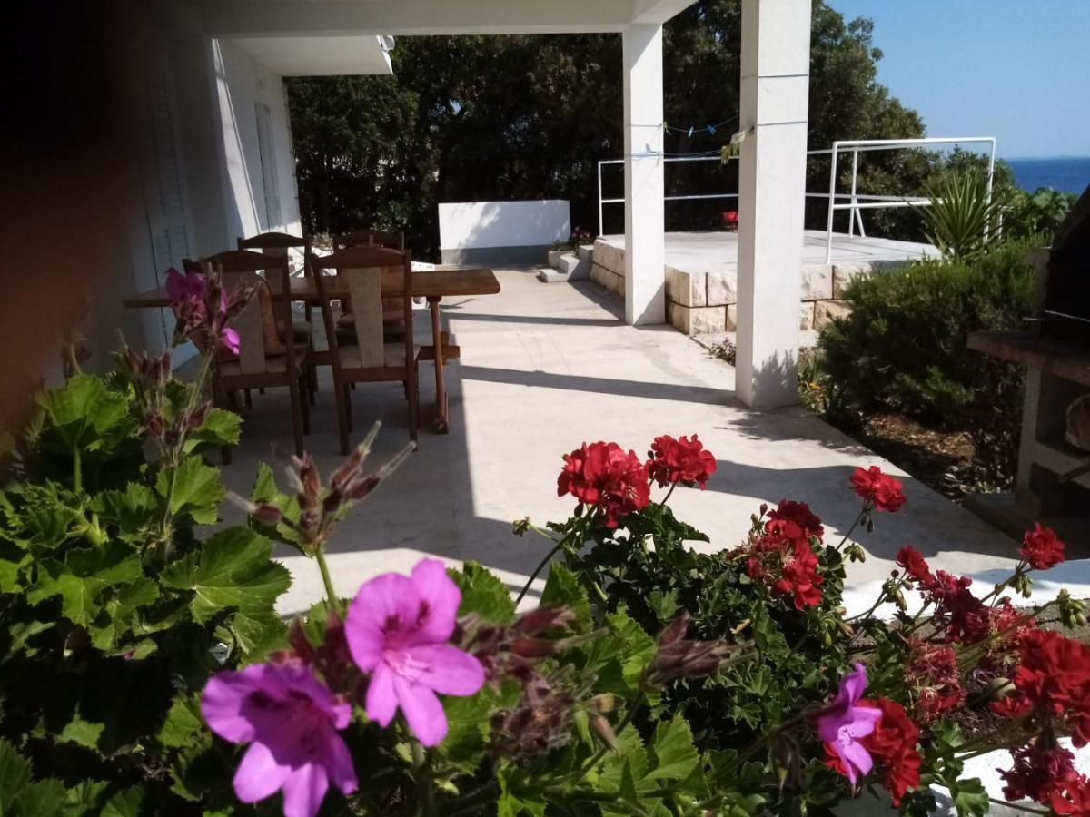 זבלטיצה Apartman Laus מראה חיצוני תמונה